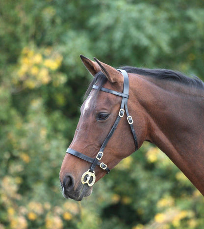 Velociti GARA Plain Inhand Bridle - Black - Cob