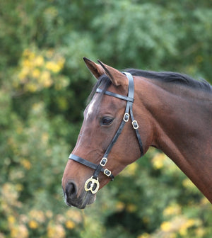 Velociti GARA Plain Inhand Bridle - Black - Cob