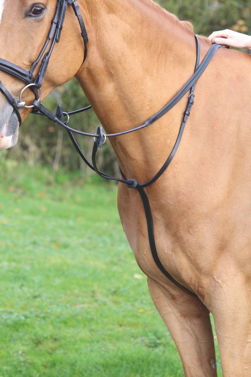 Velociti GARA Running Martingale - Black - Cob