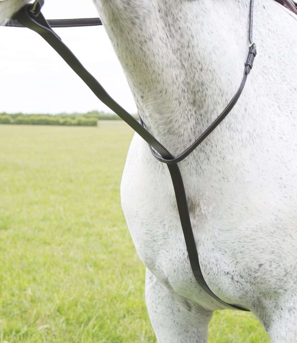 Velociti GARA Standing Martingale - Black - Cob