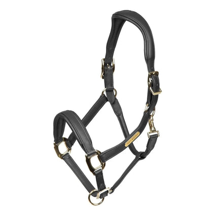 Velociti Rapida Comfort Leather Headcollar - Black - Cob