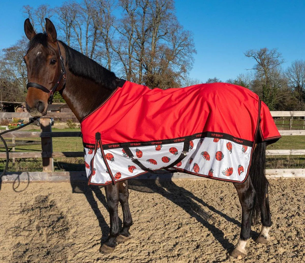 Whitaker Ladybird Airflow Turnout Rug - Red - 4'3"