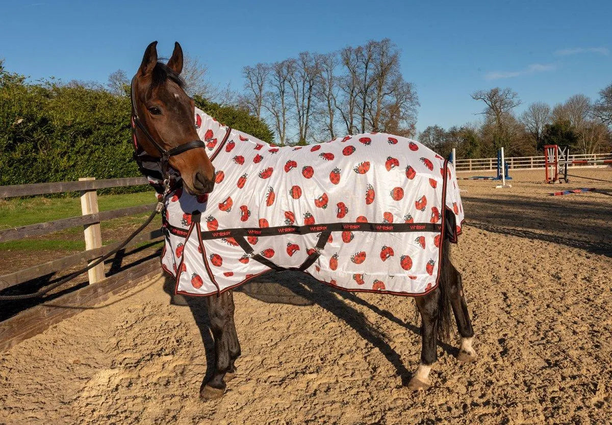 Whitaker Ladybird Fly Rug - White - 5'0"