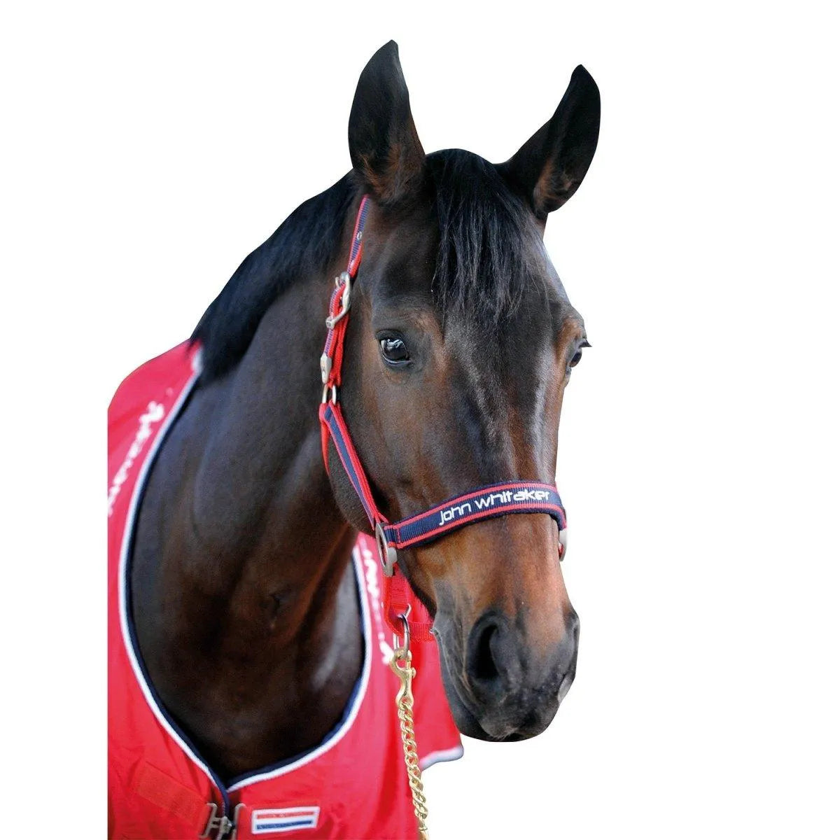 Whitaker Padded Fleece Headcollar - Red/Navy - Pony