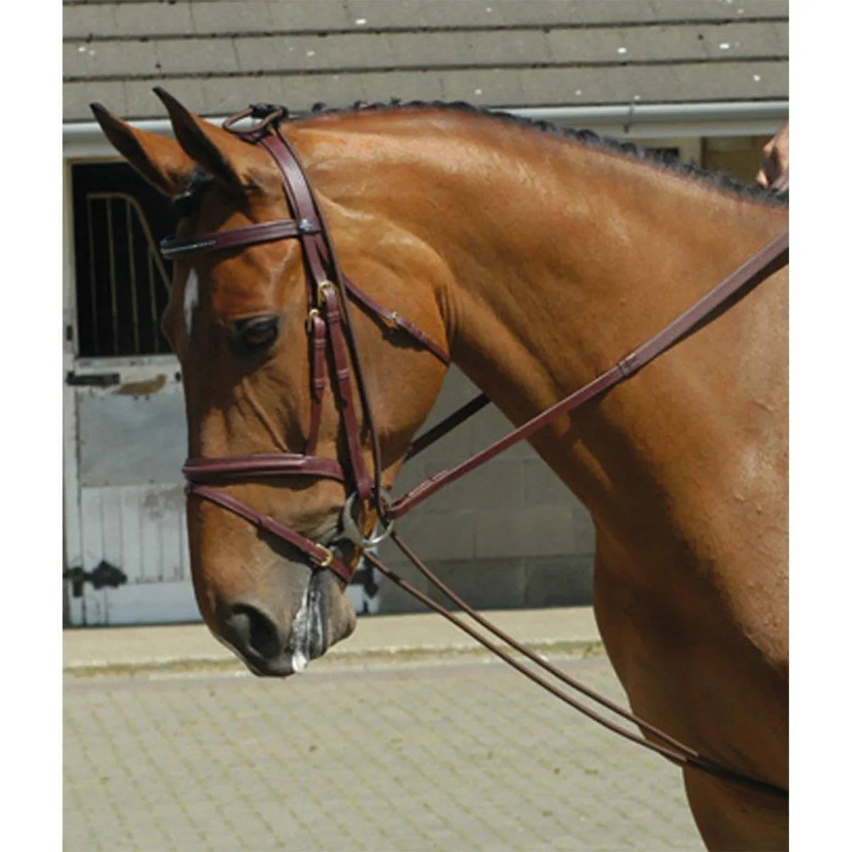 Whitaker Training Rein - Black -